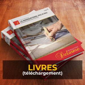 Livres (en téléchargement)